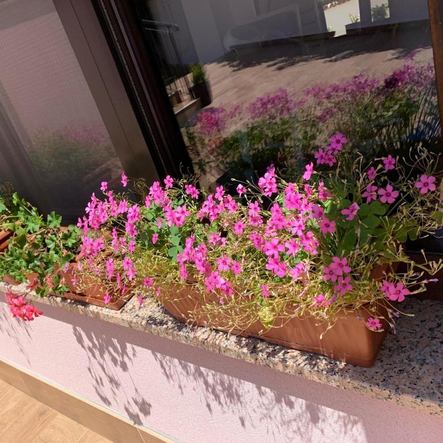 Puntizela-Patty Apartment Пула Екстериор снимка