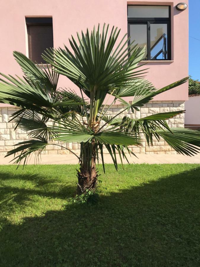 Puntizela-Patty Apartment Пула Екстериор снимка
